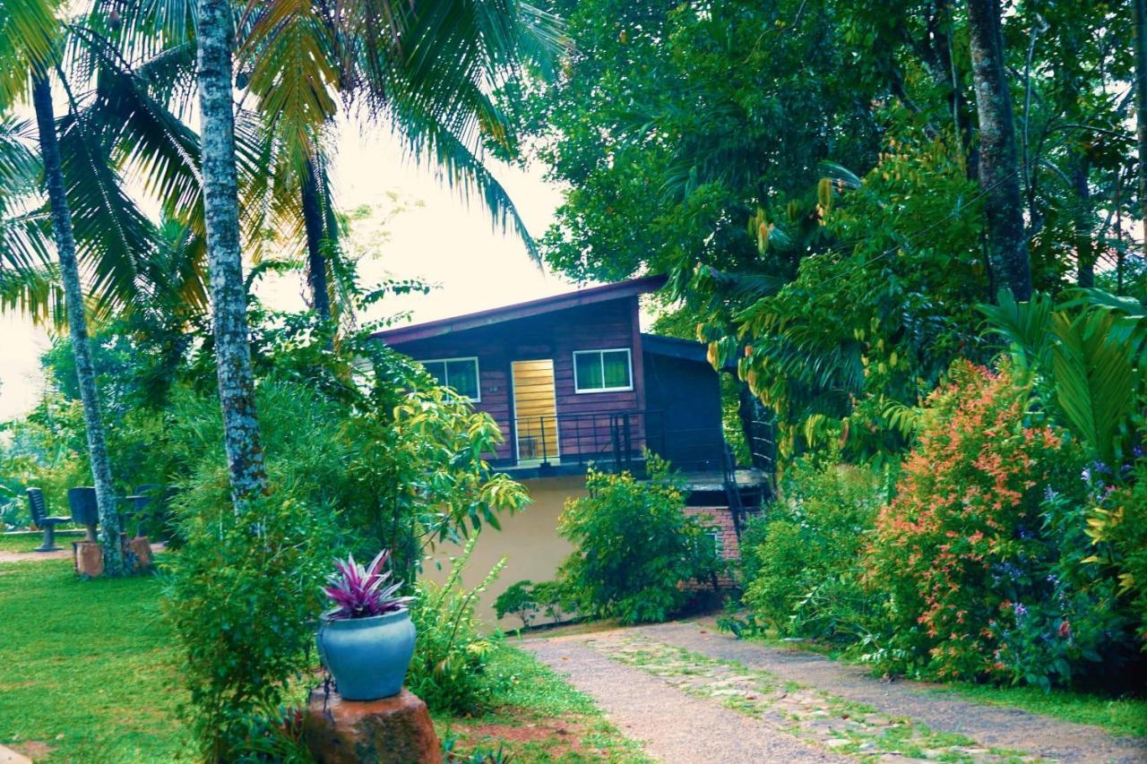 Discovery Resort Ratnapura Exteriör bild